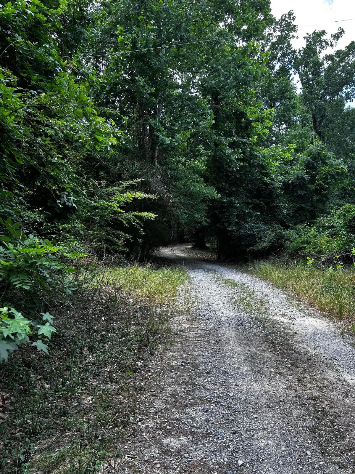0 Varner Ridge Lane, Ridgeville, SC 29472 - #1
