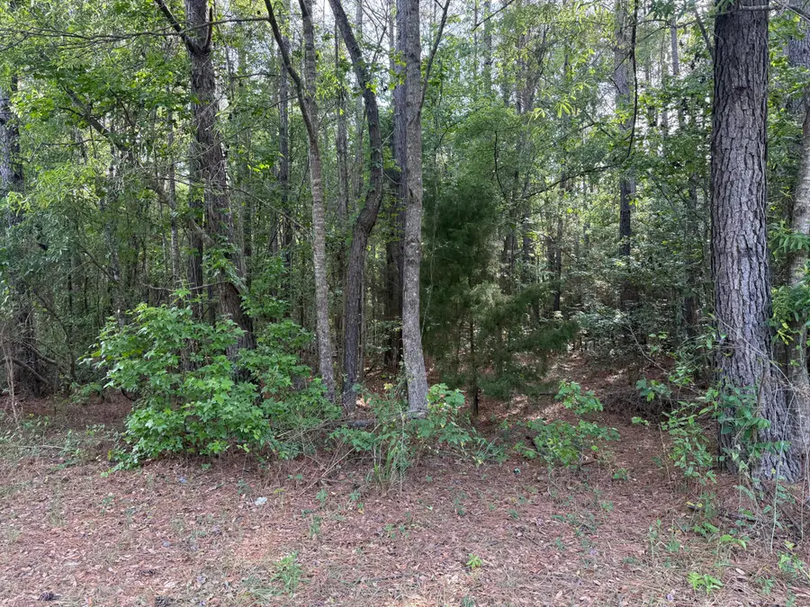 00 Sable Lane, Huger, SC 29450 - #2