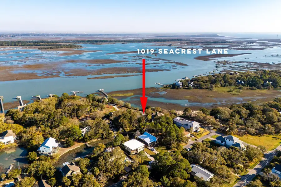 1019 Seacrest Lane, Folly Beach, SC 29439 - #3