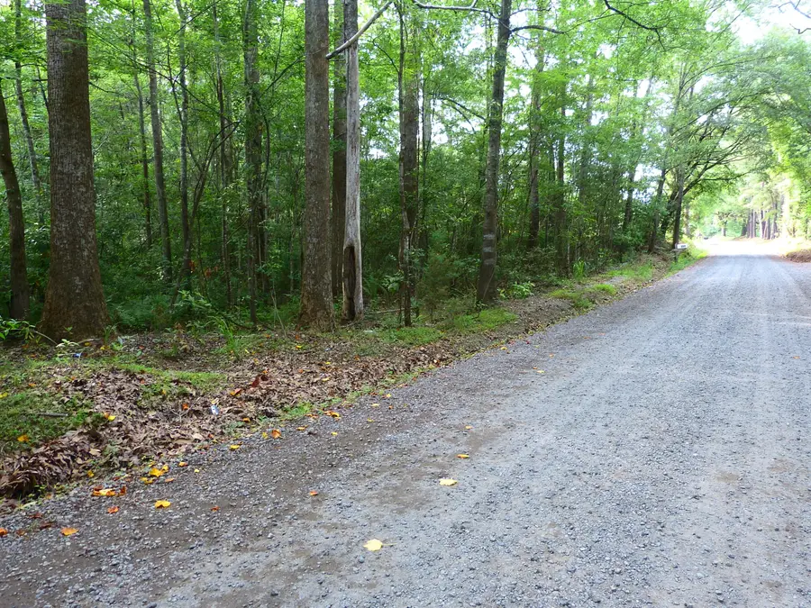 0 Branch Road, Moncks Corner, SC 29461 - #2