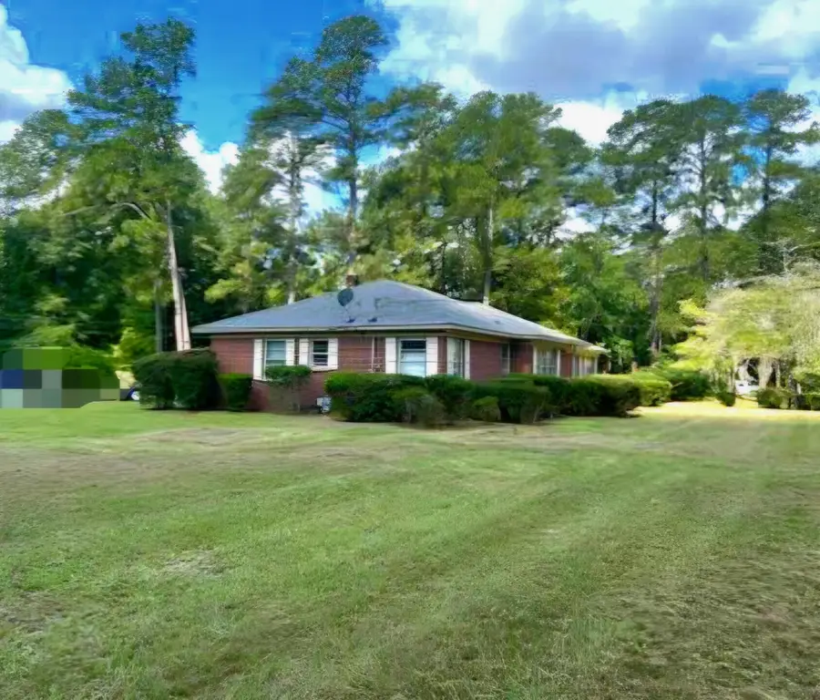 213 Maner Drive, Allendale, SC 29810 - #2
