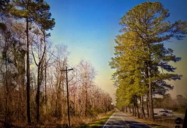 0000 Citadel Road, Orangeburg, SC 29118