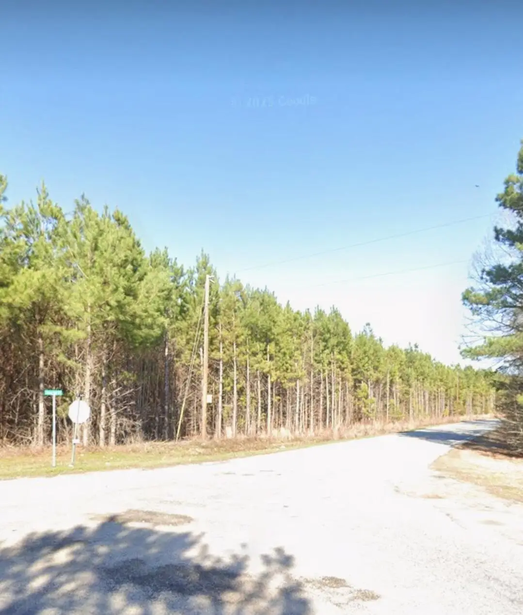 00 Coach Road, Holly Hill, SC 29059 - #1