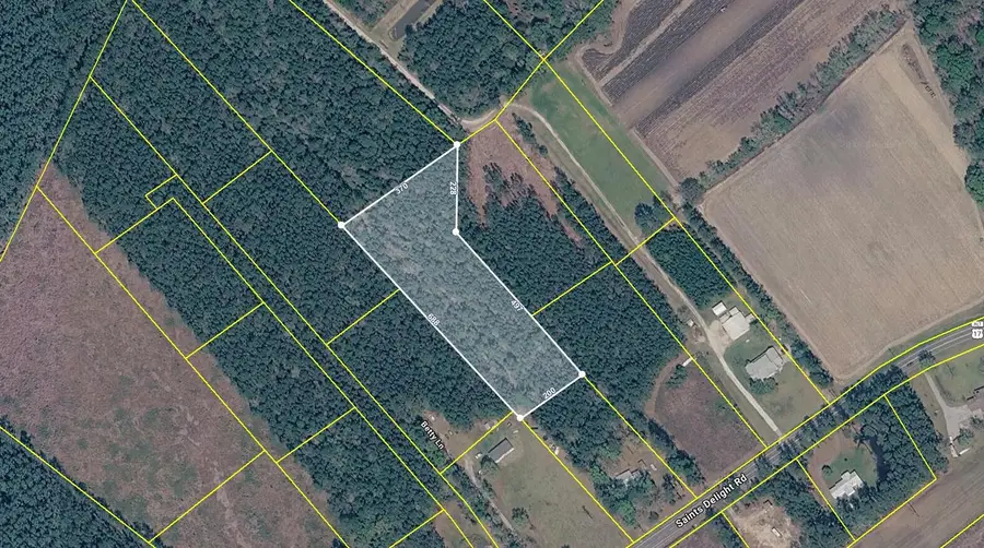 6222 Saint Delights Road #Lot 8a, Georgetown, SC 29440 - #3