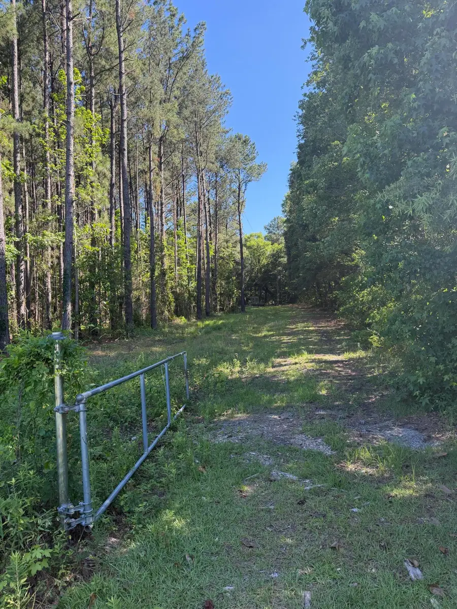 3125 State Road, Summerville, SC 29483 - #3