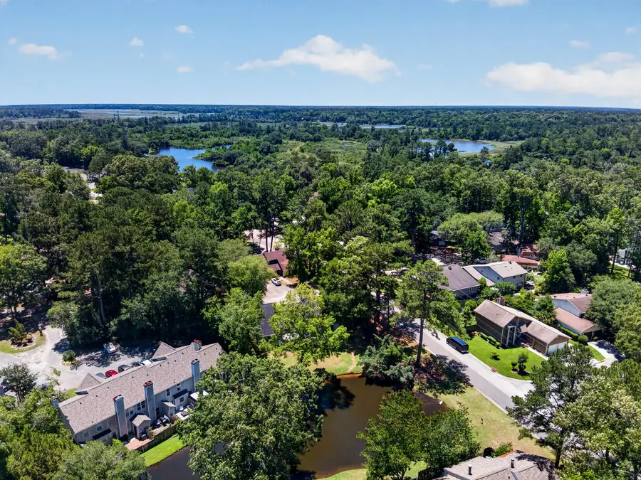 101 Chattum Court, Summerville, SC 29485 - #3