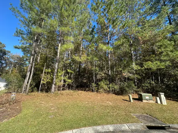 2024 Briar Bend Road, Ridgeville, SC 29472
