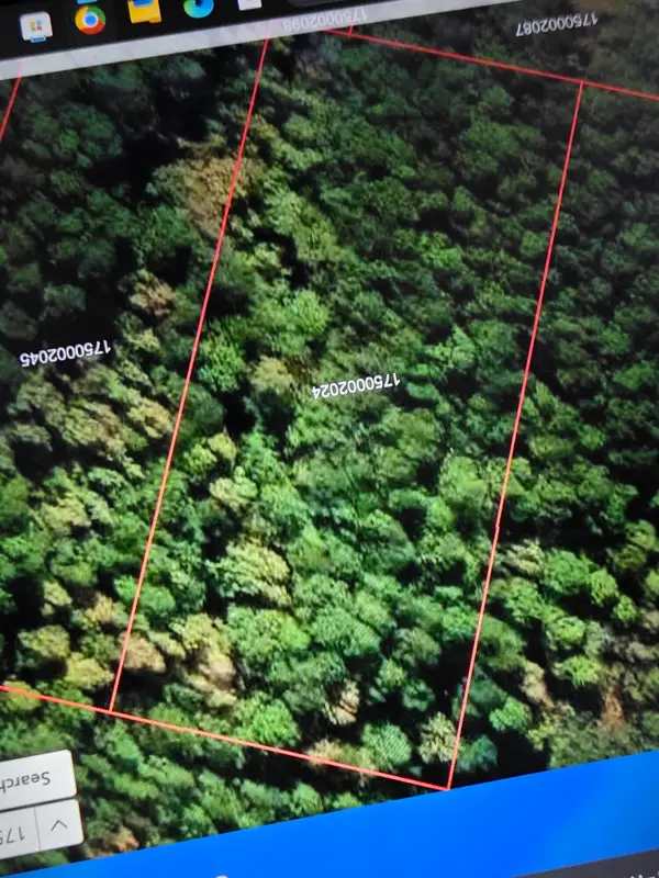 000 Clifford Way, Ridgeville, SC 29472
