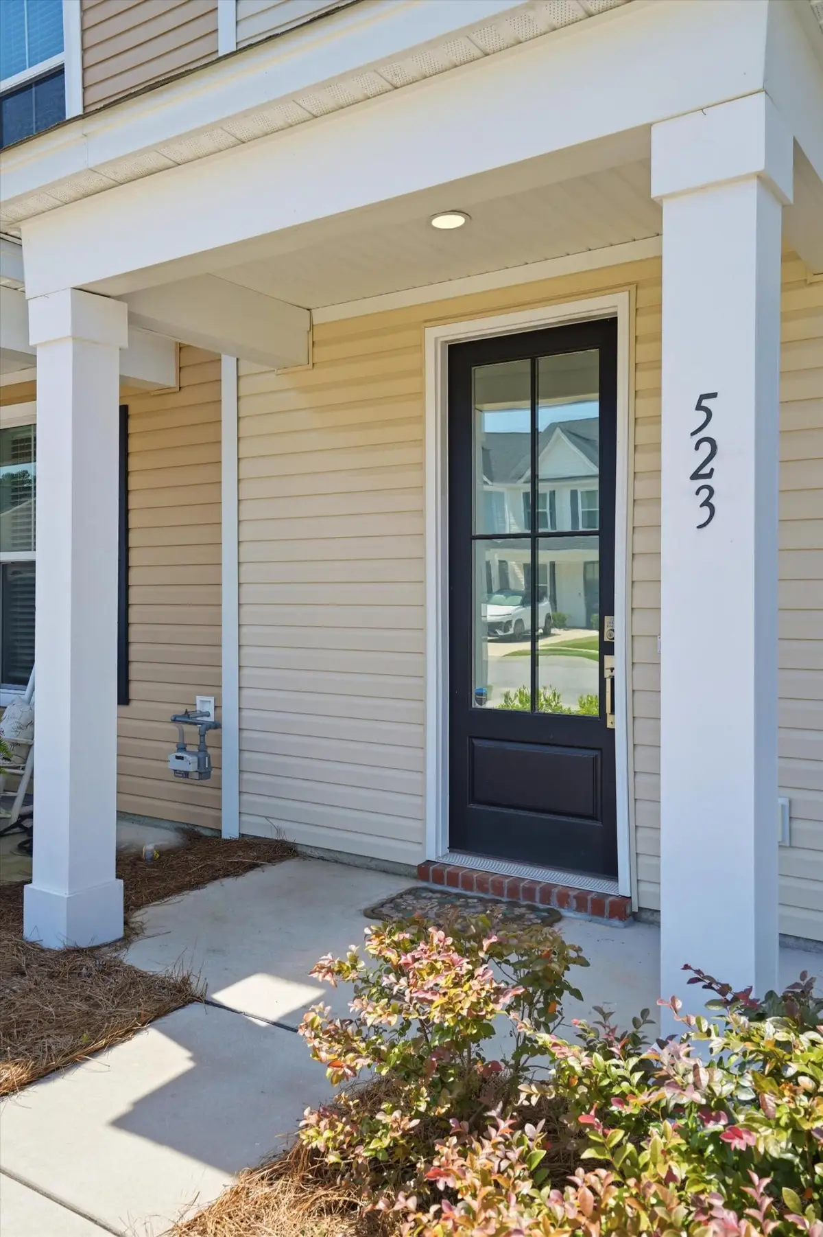 523 Green Fern Drive, Summerville, SC 29483 - #1