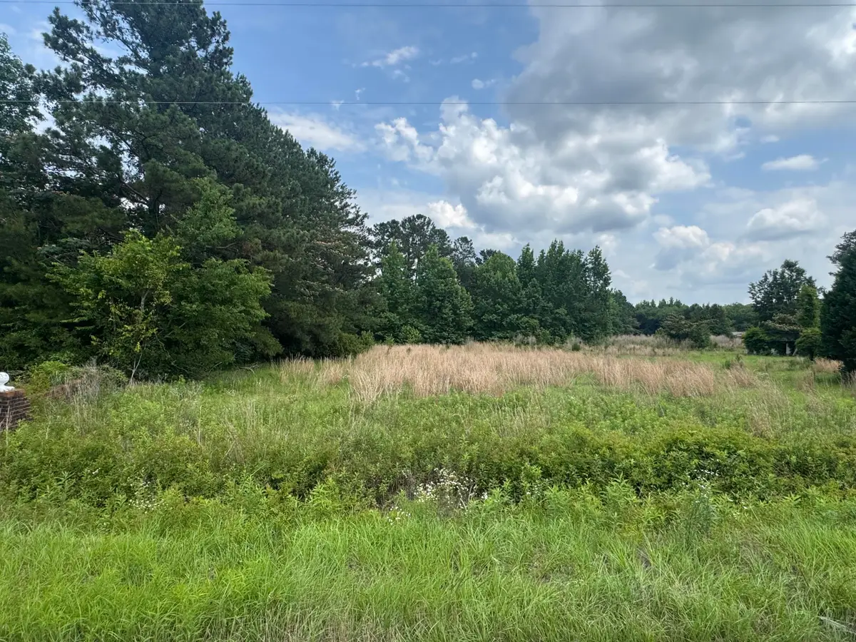 0 Avacodo Drive, Santee, SC 29142 - #1