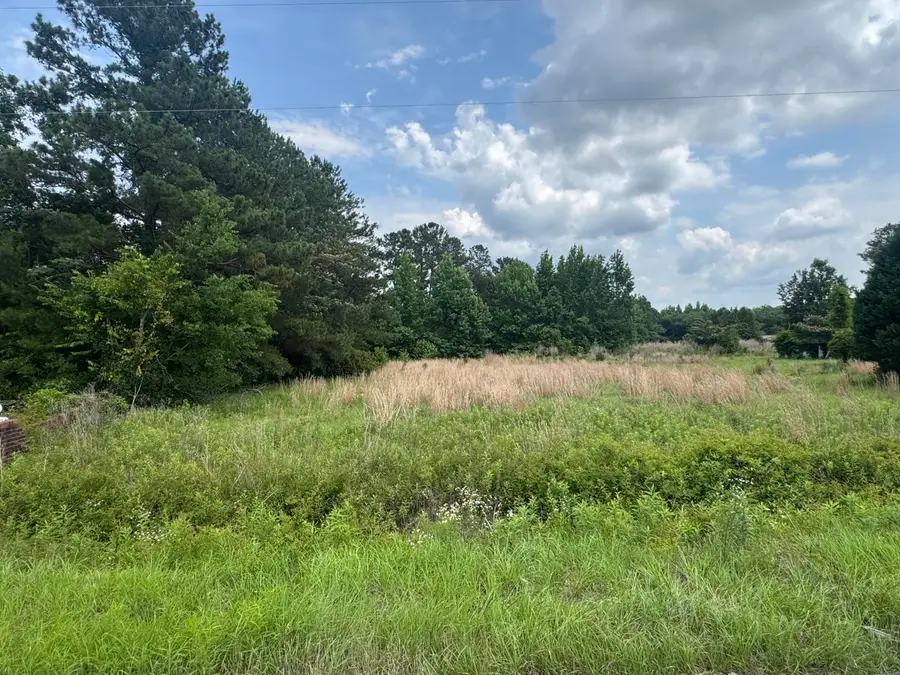 0 Avacodo Drive, Santee, SC 29142 - #2