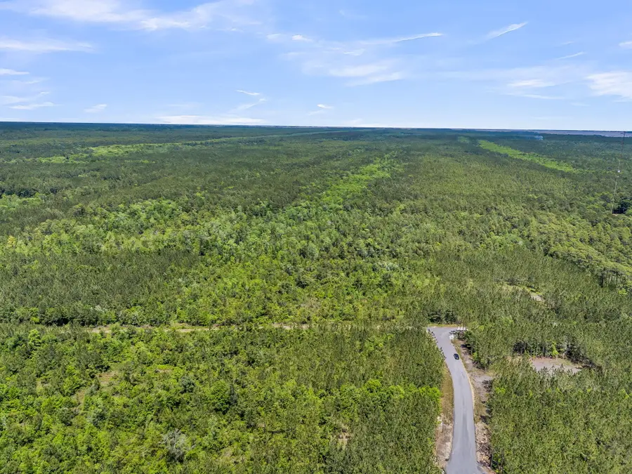 0 Deas Hill Road, McClellanville, SC 29458 - #2