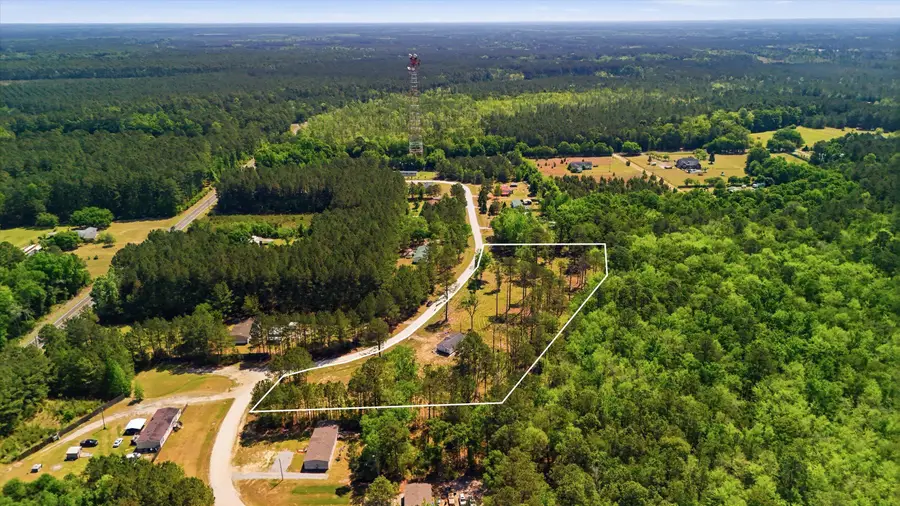 351 Sassafras Court, Walterboro, SC 29488 - #2