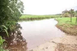 0 Bolen Point Avenue, Green Pond, SC 29446