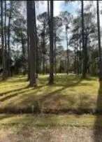 0 Bolen Point Avenue, Green Pond, SC 29446 - #3