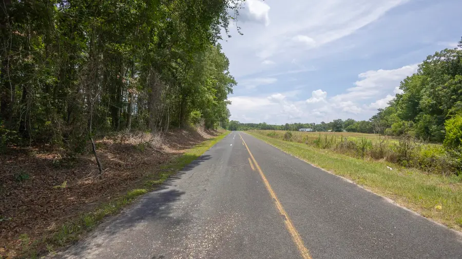 2 Joseph Lemon & Dingle Road, Manning, SC 29102 - #3