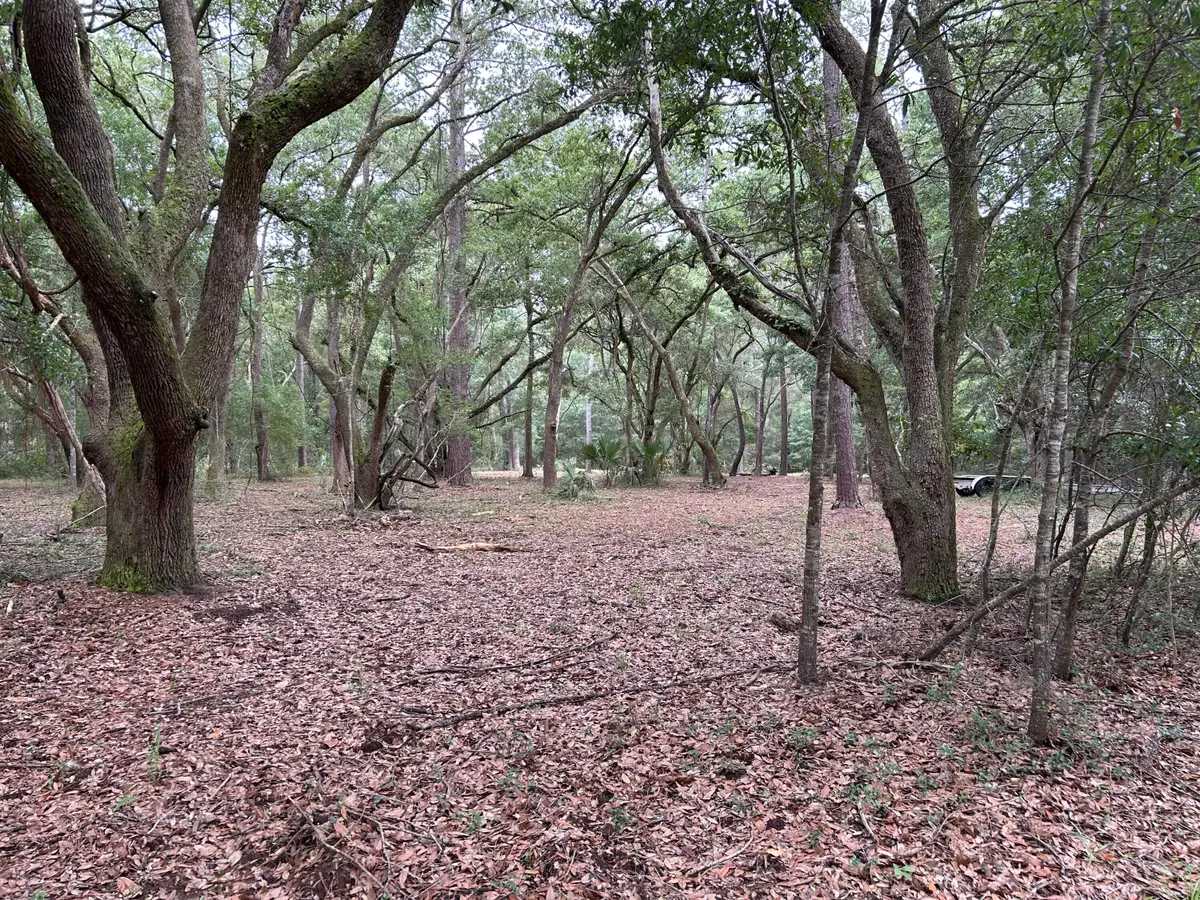 1470 Marsh Bluff Court, Edisto Island, SC 29438 - #1