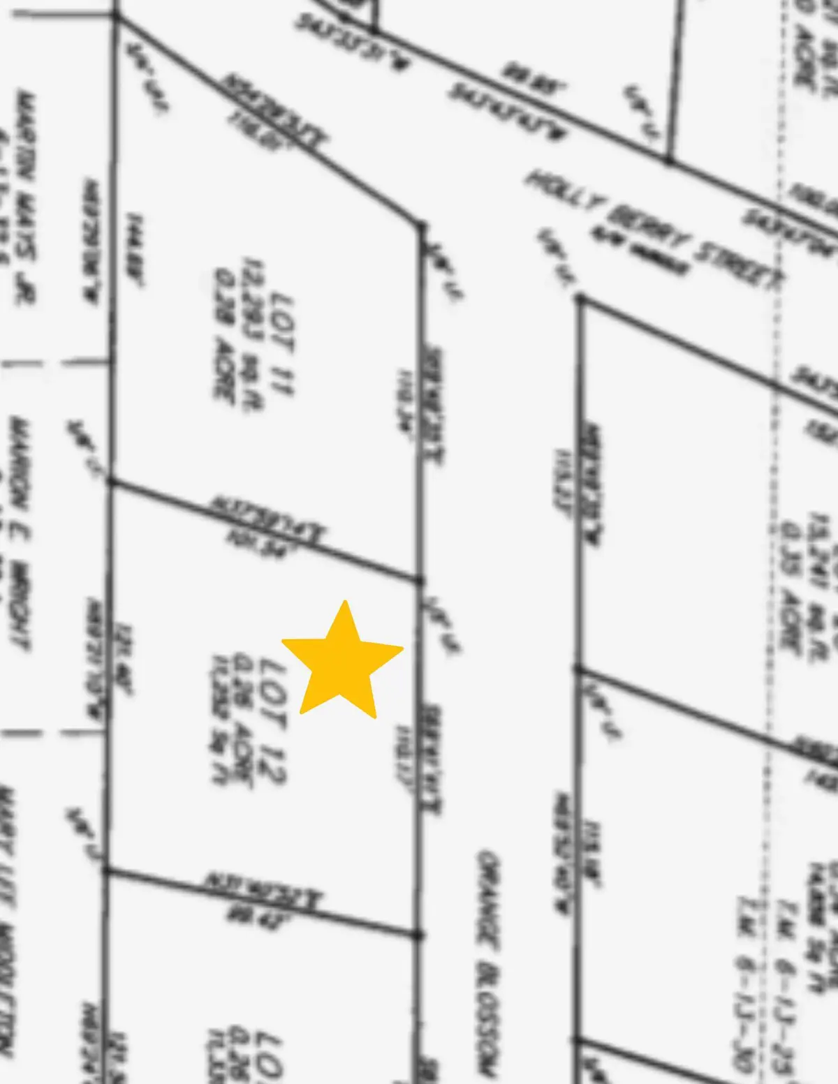 0 Orange Blossom Street, Andrews, SC 29510 - #1