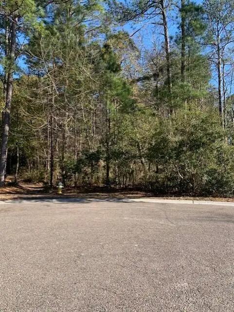 1008 Poconos Court, Summerville, SC 29483 - #3