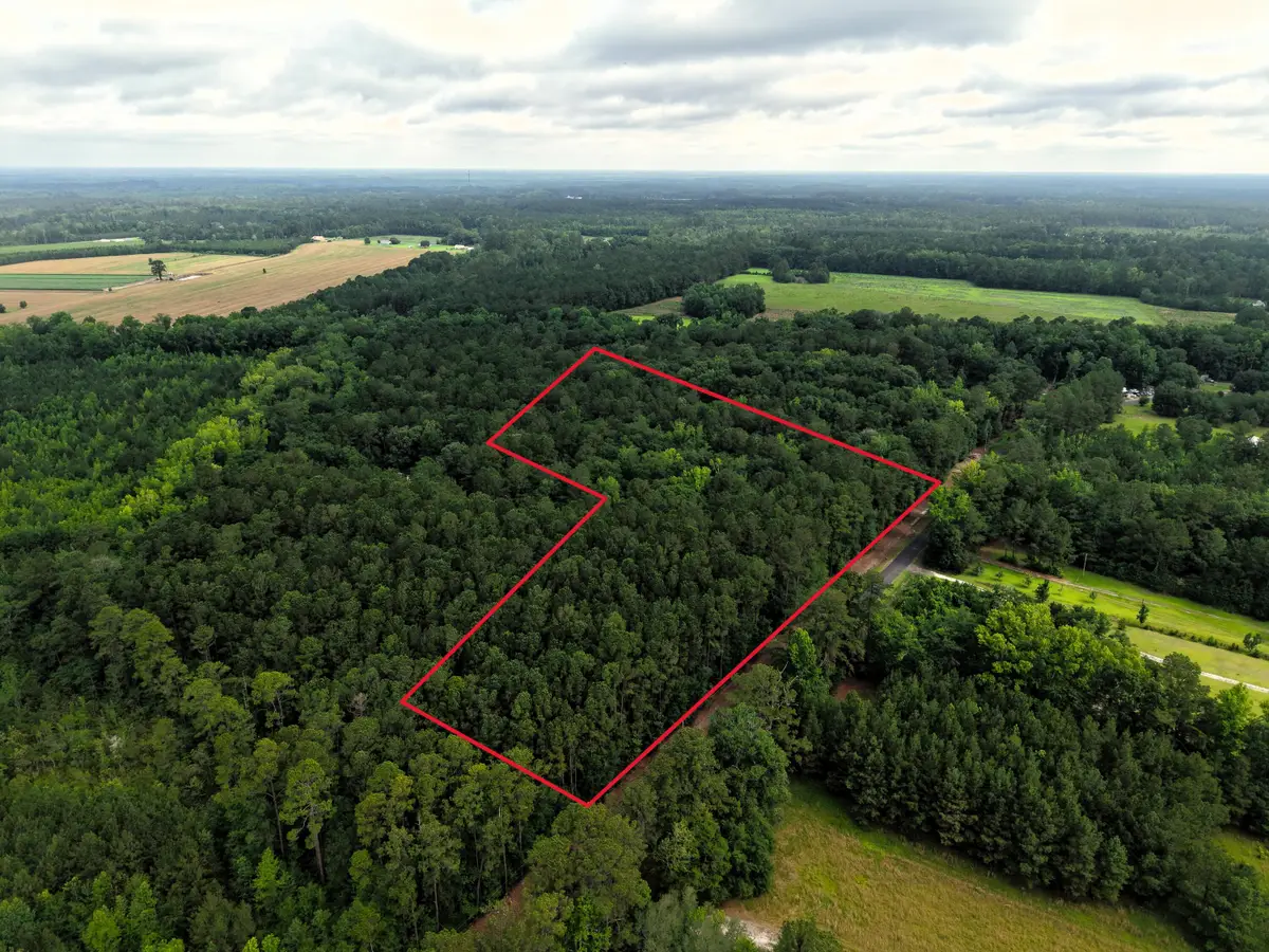 2240 Scuffletown Road, Ruffin, SC 29475 - #1