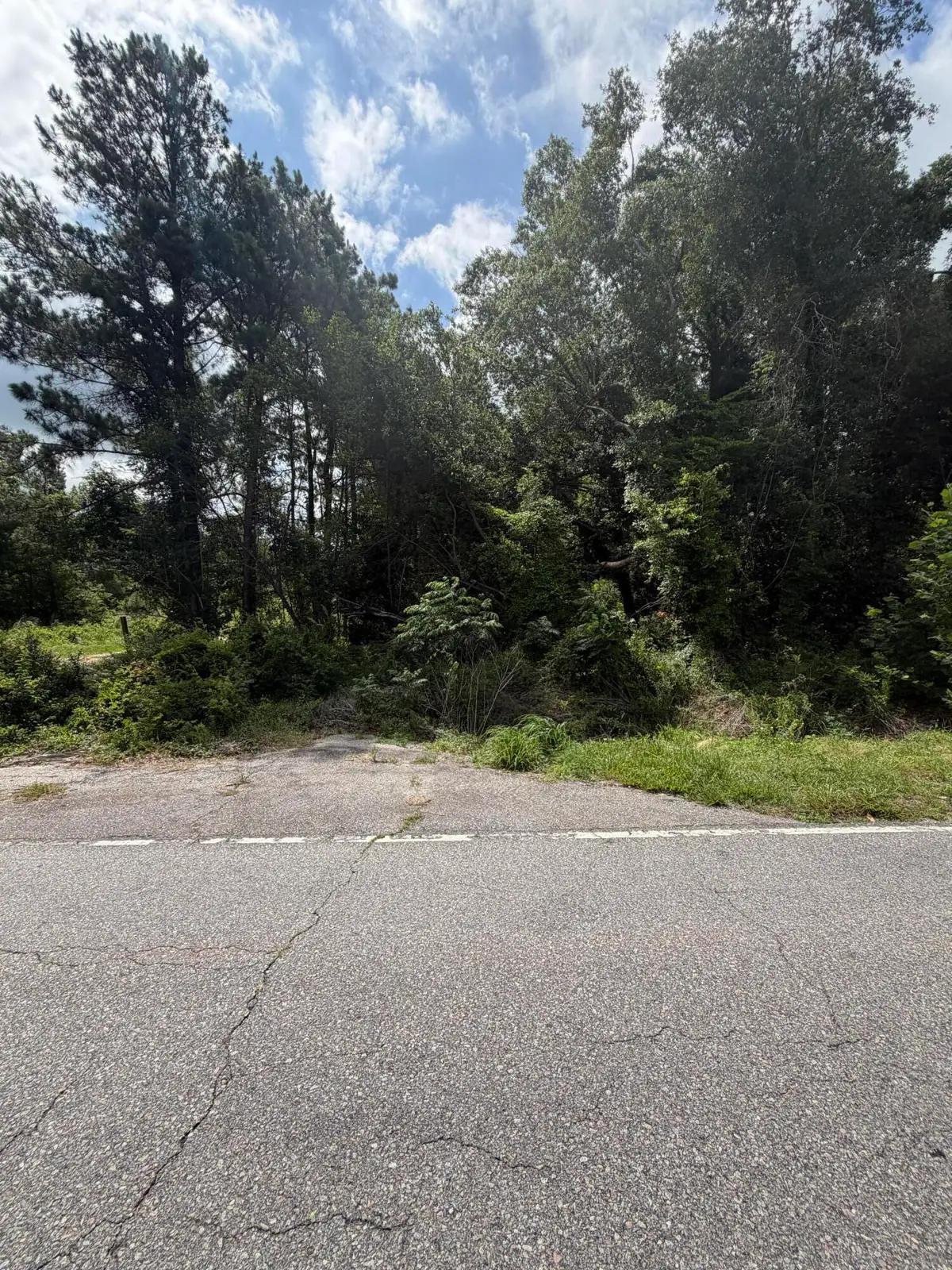 0 Norway Road, Orangeburg, SC 29115 - #1
