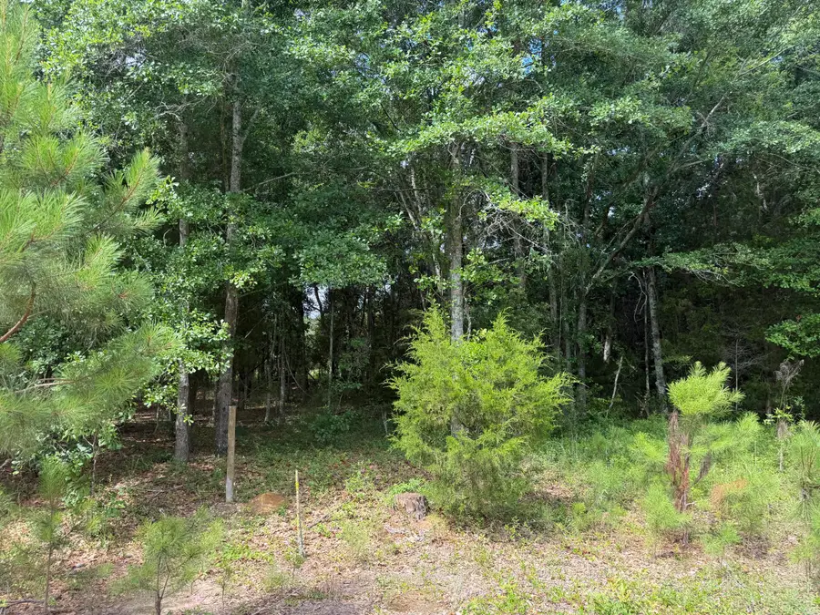 0 Norway Road, Orangeburg, SC 29115 - #3