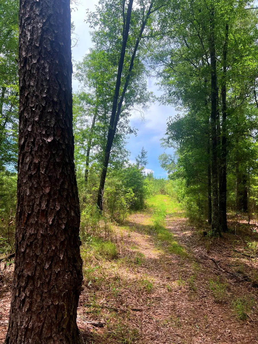 2150 Hughes Drive, Cottageville, SC 29435 - #2