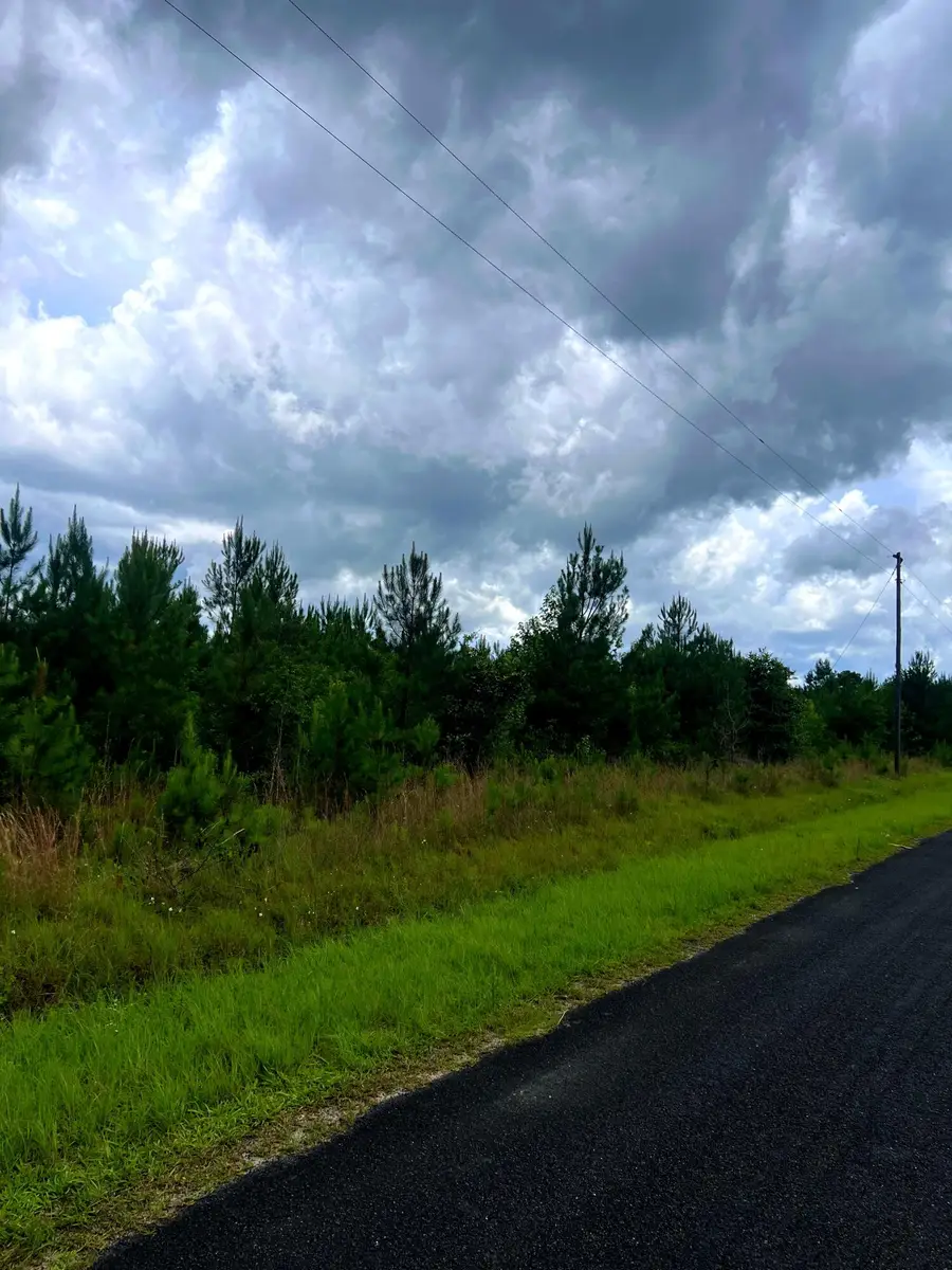 2150 Hughes Drive, Cottageville, SC 29435 - #3