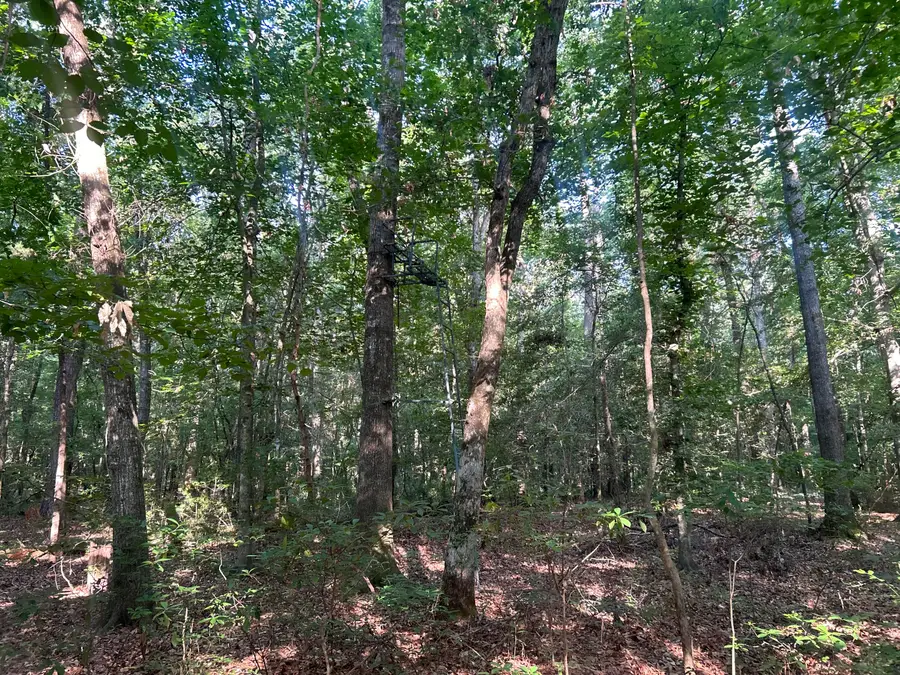 0 Swamp Fox Drive, Summerville, SC 29485 - #3