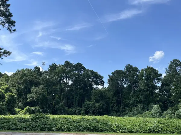 0 Low Country Highway, Ehrhardt, SC 29081
