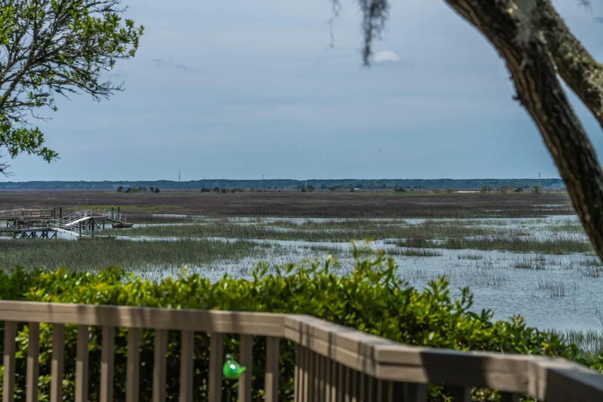 12 Marsh Island Lane, Isle Of Palms, SC 29451 - #1