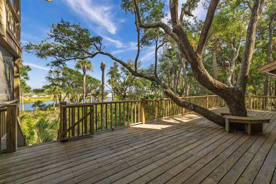 411 Pelican Flight Drive, Dewees Island, SC 29451 - #3
