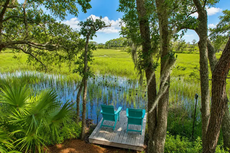 227 Palmetto Bluff, Mount Pleasant, SC 29464 - #2