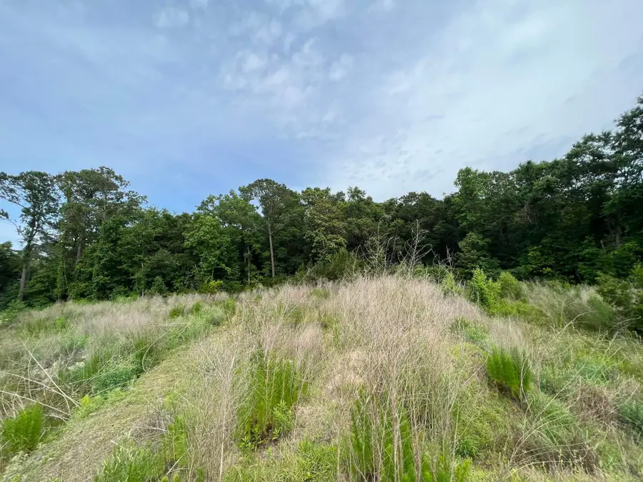 2017 Paul Chavis Lane, Charleston, SC 29412 - #3