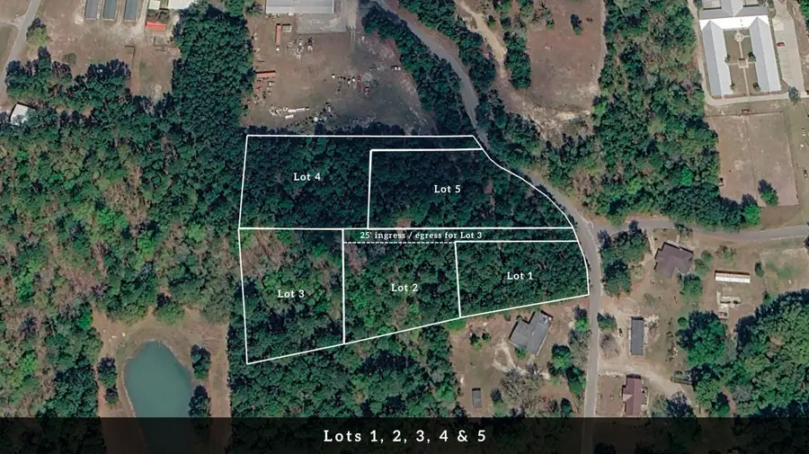 5 Broken Arrow Road, Eutawville, SC 29048 - #3