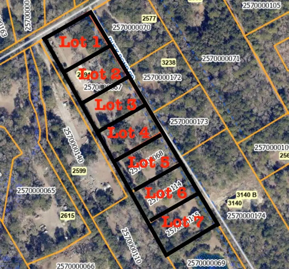 3205 Duck Pond Road, Johns Island, SC 29455 - #1