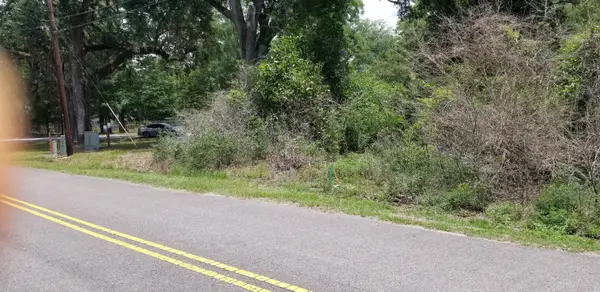 0 Pearson Street, Walterboro, SC 29488