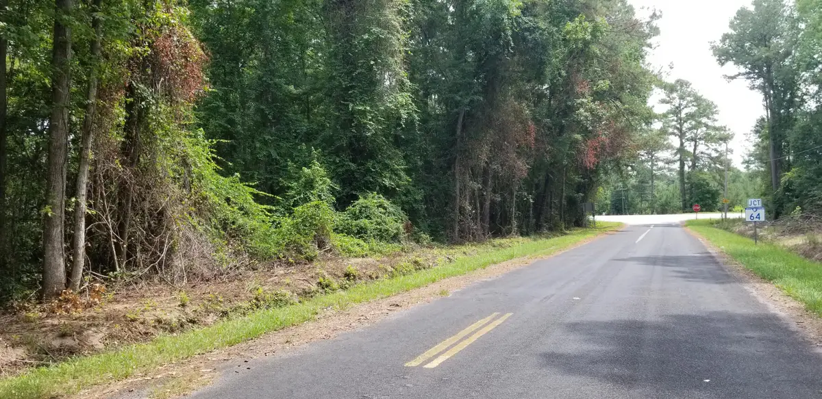 0 Pine Needle Road, Walterboro, SC 29488 - #1
