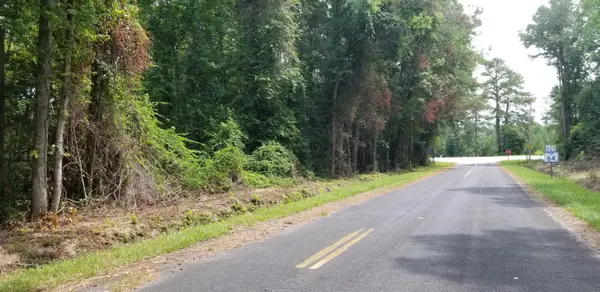0 Pine Needle Road, Walterboro, SC 29488