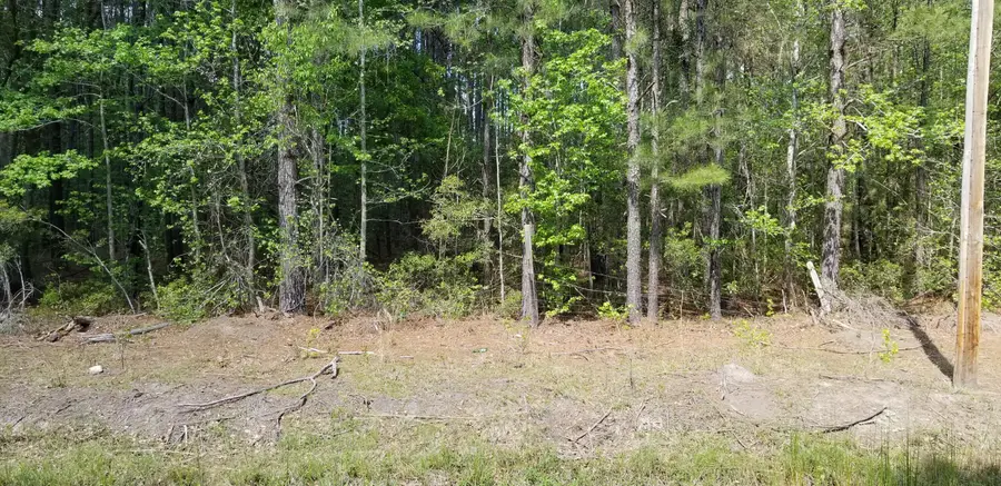 00 Rabb, Walterboro, SC 29488 - #3
