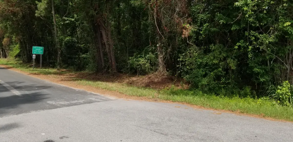 308 Mcdaniel Street, Walterboro, SC 29488 - #1