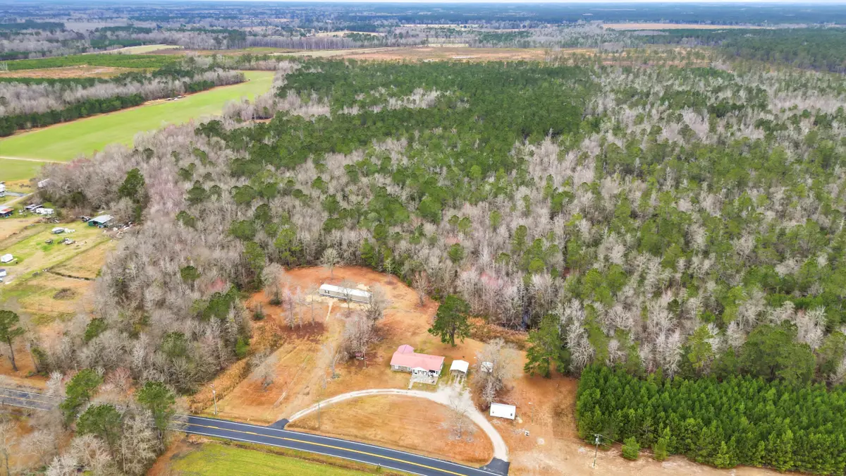 1222 Birch Creek Road, Andrews, SC 29510 - #1