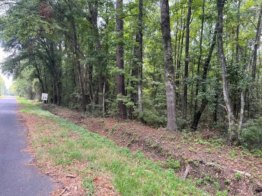 00 Henry Street, Walterboro, SC 29488 - #2