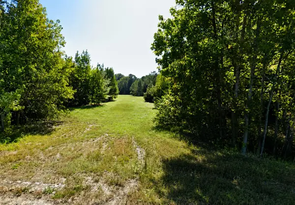 0 Bethel Cemetery Road, Reevesville, SC 29471
