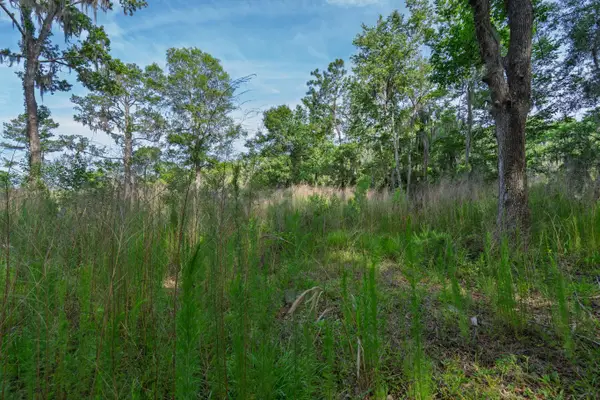 8326 Shell House Road, Edisto Island, SC 29438