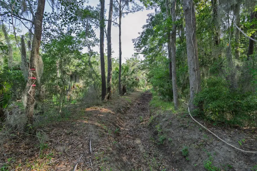 8326 Shell House Road, Edisto Island, SC 29438 - #2