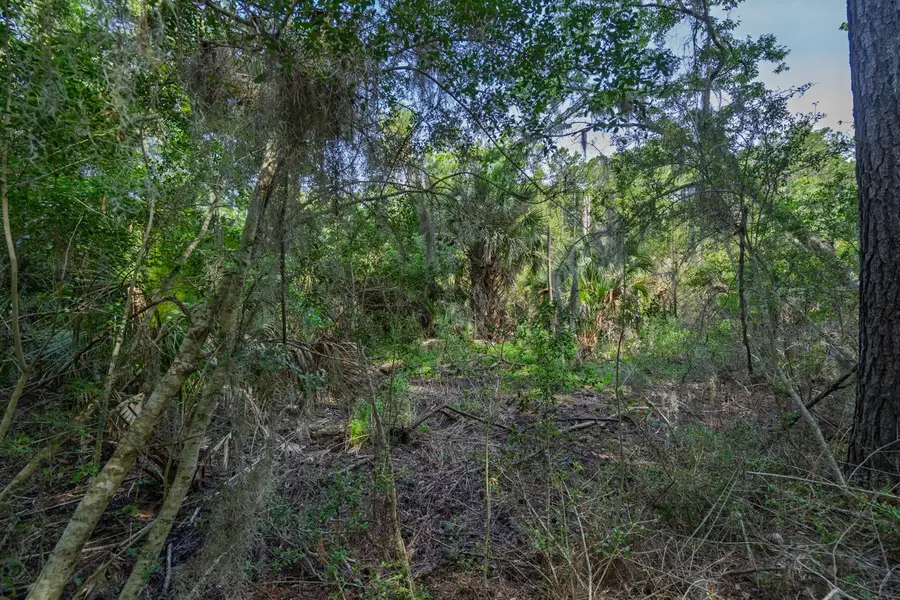 8326 Shell House Road, Edisto Island, SC 29438 - #3
