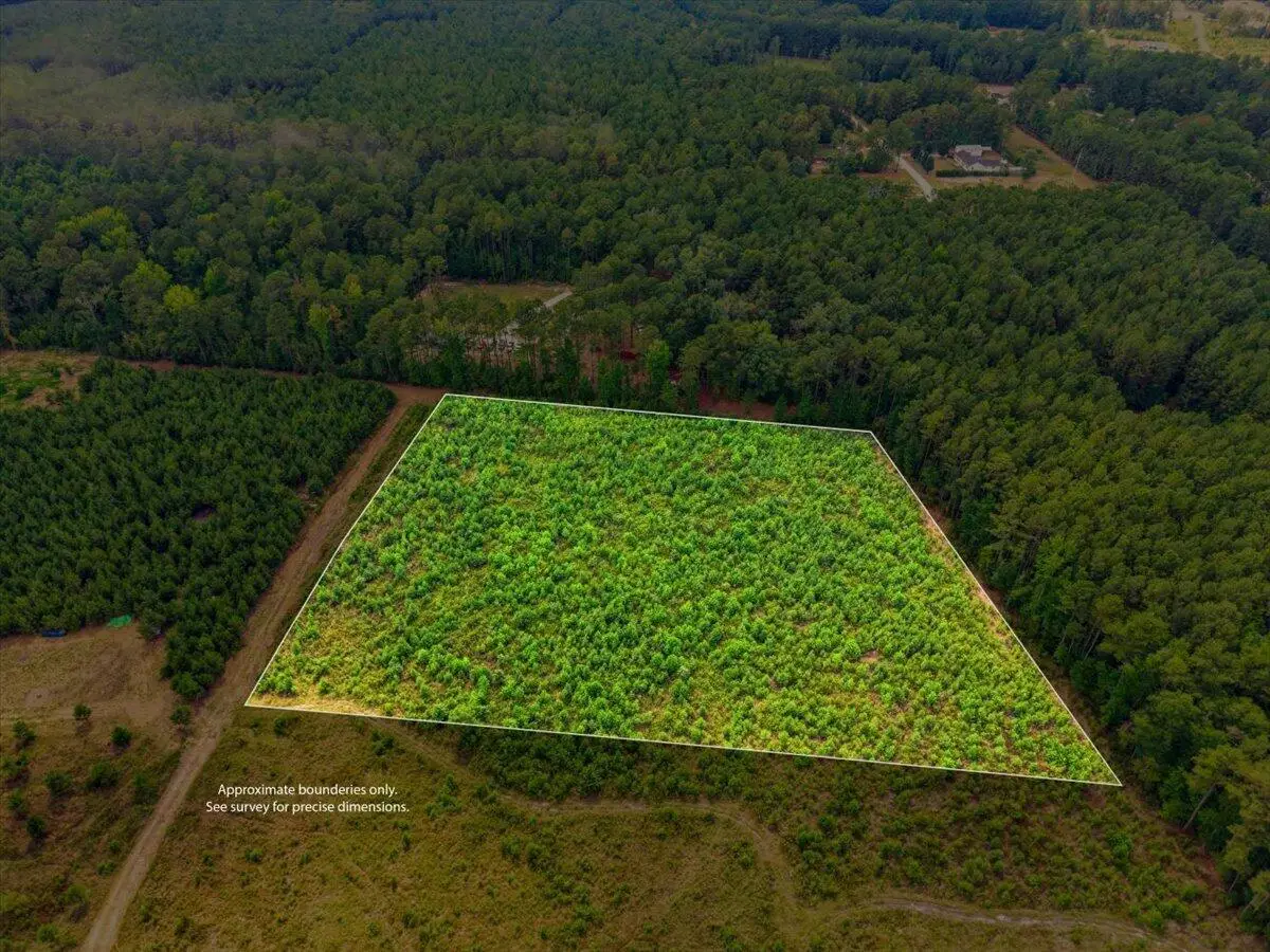 00 Adams Road, Cottageville, SC 29435 - #1