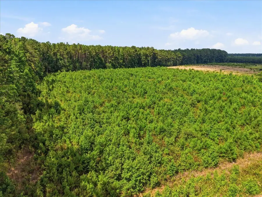 00 Adams Road, Cottageville, SC 29435 - #3
