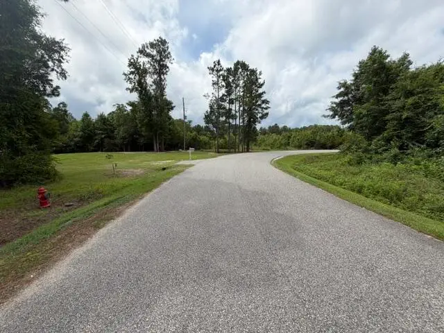 Tbd Lakewood Drive, Manning, SC 29102 - #3